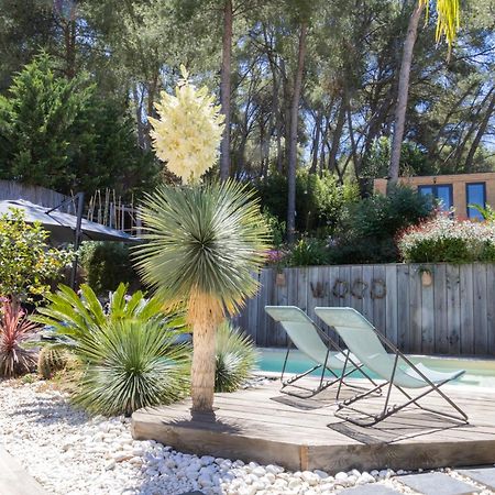 Charmant Studio Lodge Climatise Avec Jardin Et Vue Sur Le Pic Saint Loup Jacou Exteriér fotografie