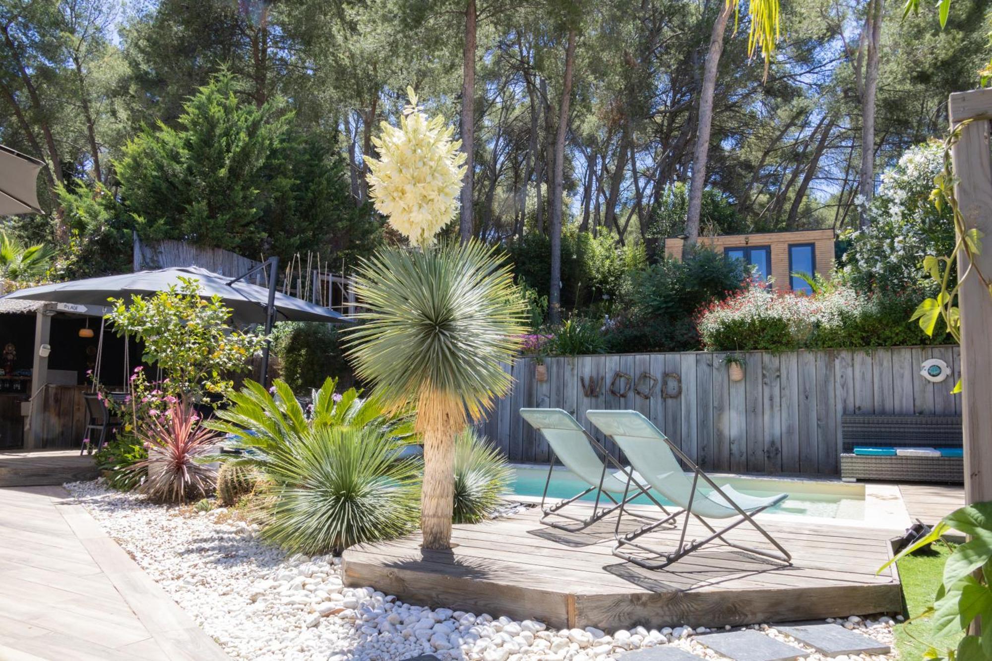Charmant Studio Lodge Climatise Avec Jardin Et Vue Sur Le Pic Saint Loup Jacou Exteriér fotografie